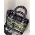 LADY D MEDIUM BAG IN 2021 NEW COLOR (24CM)