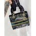 LADY D MEDIUM BAG IN 2021 NEW COLOR (24CM)