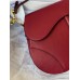 Dion Saddle Bag(Strap needs extra purchase)(25.5CM)