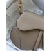 Dion Saddle Bag(Strap needs extra purchase)(25.5CM)