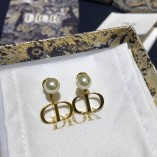 Di☼r 2021 New Earrings