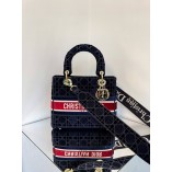 Lady D-lite Medium Bag in 2021 New Color (24cm)