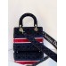 Lady D-lite Medium Bag in 2021 New Color (24cm)