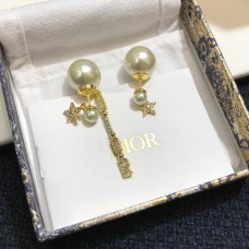 Earrings 102