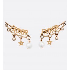 Earrings 103