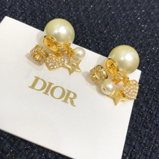 Earrings 105