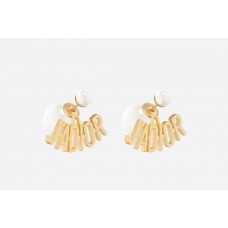 Earrings 106