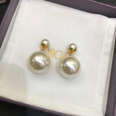 Earrings 109