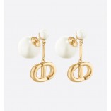 Earrings 113