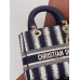 Lady D-lite Medium Bag in 2021 New Color (24cm)