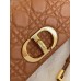 Dion Caro Handbag Small Size (Caramel, 20cm)