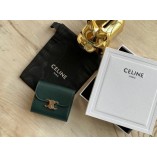 Triomphe small purse (10.5cm)