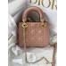 2022 NEW MINI CANNAGE LADY DION BAG(17CM)