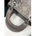 Mini Lady Dion Silk Bag(17CM)