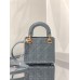 2022 New Mini Cannage Lady Dion Bag(17CM)