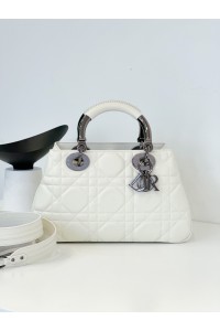 D1OR 95-22 BAG (Small/Medium)
