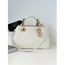D1OR 95-22 BAG (Small/Medium)