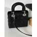 A Lady Dion My ABCDion Bag with Calf Leather (20CM)