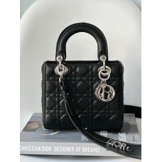 A Lady Dion My ABCDion Bag with Lambskin(20CM)