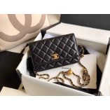 Chanle WOC Gold-Tone Lambskin (Black,19cm)