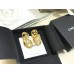 Chanle earrings 213