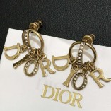 D Earrings 1