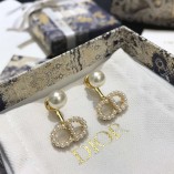 D Earrings 22