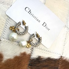 D Earrings 41