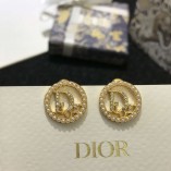 D Earrings 44