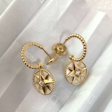 D Earrings 49