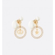 D Earrings 124