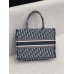 Dion Tote Oblique Small Bag(36.5CM)