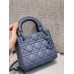 Mini Cannage Ultramatte Calfskin Lady Dion Bag(17CM)